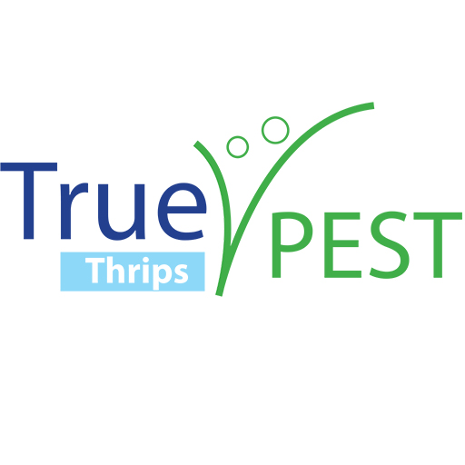 TruePest - Thrips